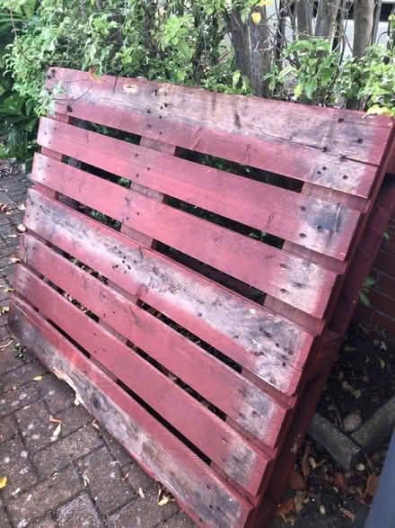 Photo of free 3 pallets (New Addington - Parkway CR0) #1