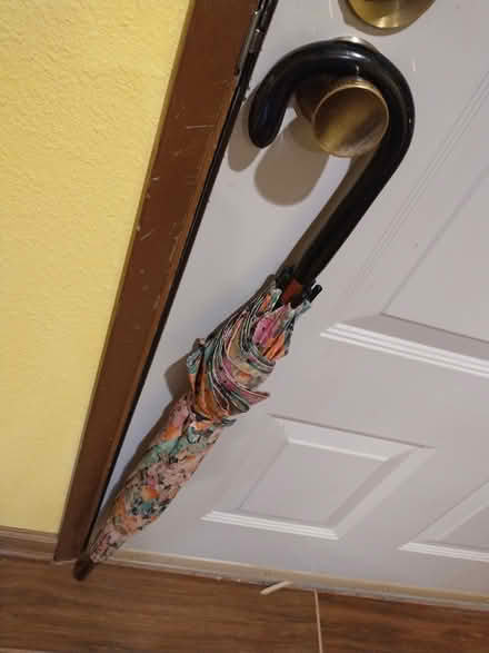 Photo of free Umbrella (NE Seattle/Ravenna/UD) #2