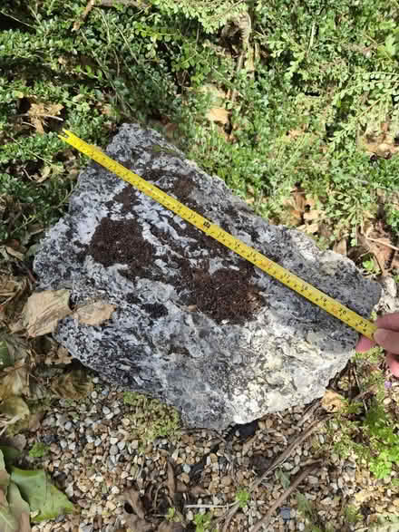 Photo of free 4 large boulders for rockery (Tewin) #2