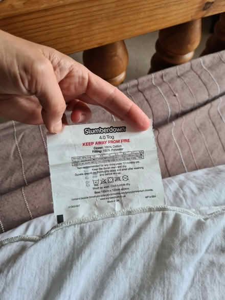 Photo of free Toddler duvet and pillow (Harden, Bingley) #3