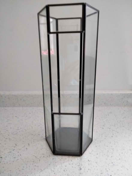 Photo of free Upright Terrarium (Shenley Lodge MK5) #1