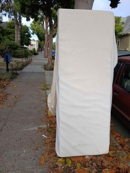 Photo of free Two lightly used foam Mattresses (West End, Near Maya Lin) #3