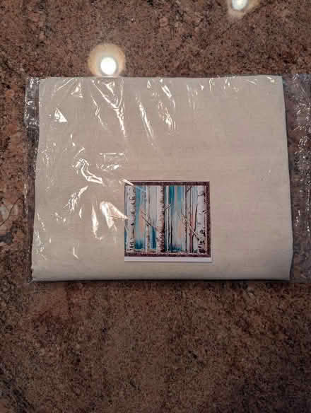 Photo of free Paint by Number Birch Trees (West Groton) #1