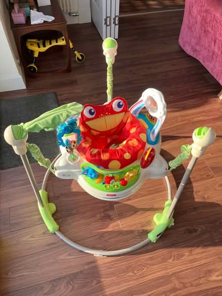 Photo of free Baby Bouncer (Carrick Knowe EH12) #1