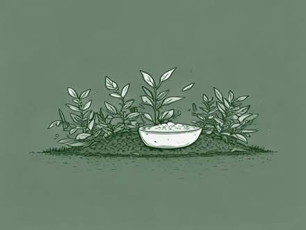 Photo of Fertiliser or manure, plants to edge my garden with etc (Kirkstall LS6) #1