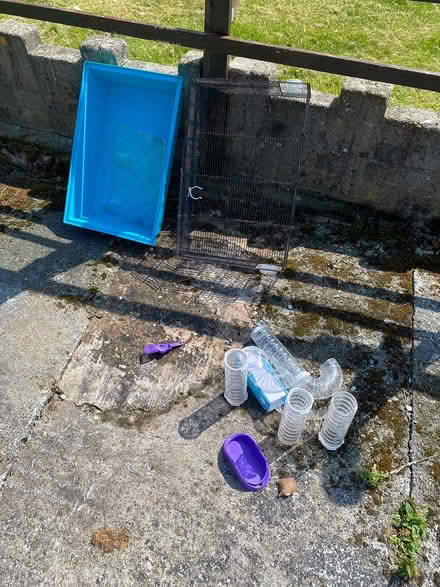 Photo of free Large wire Hamster cage (Llanfaglan LL54) #2