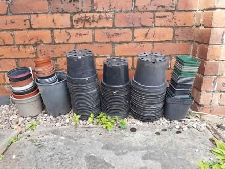 Photo of free Small and Medium Plant Pots (Alvaston) #1