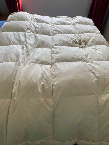 Photo of free Mattress topper (Gloucester GL2) #1