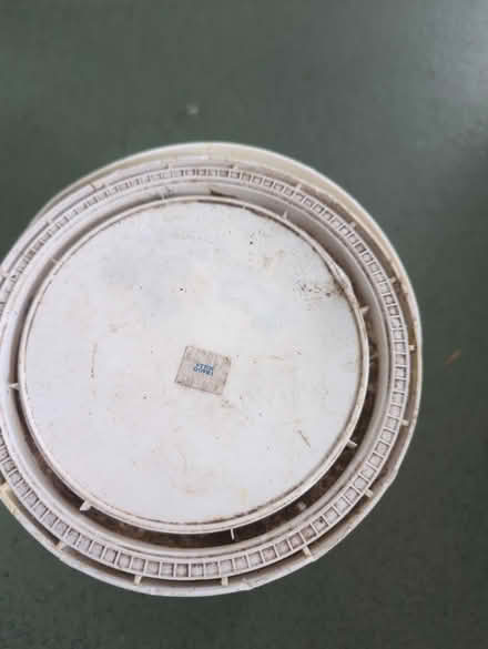 Photo of free Cream Sandtex smooth masonry paint (Starcross EX6) #2