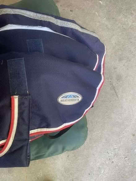 Photo of free old weatherbeeta dog coats (Boreham Street BN27) #2