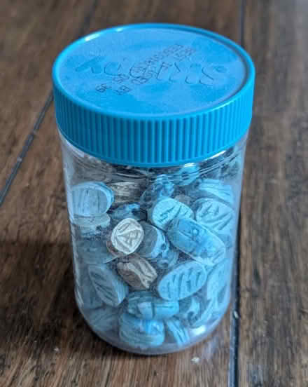 Photo of free Egyptian scarabs (Shoreline near 185th) #2