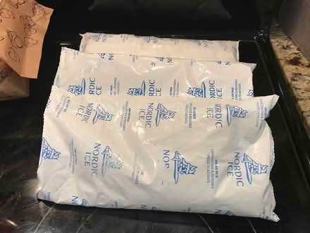 Photo of free Re-usable freezer packs (The Fan near VMFA) #1