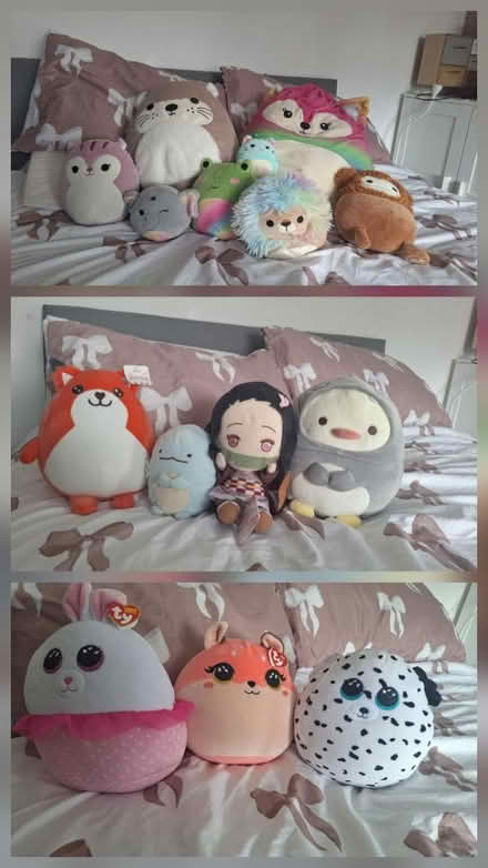 Photo of free Soft toys (B44) #1
