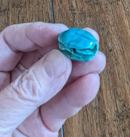 Photo of free Egyptian scarabs (Shoreline near 185th) #1