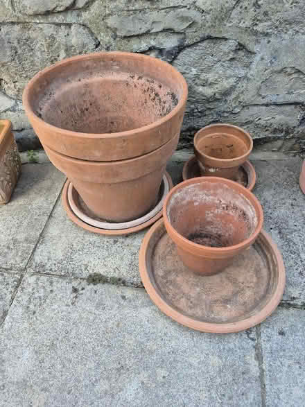 Photo of free Assorted Terracotta plant plots (Worle BS22) #1