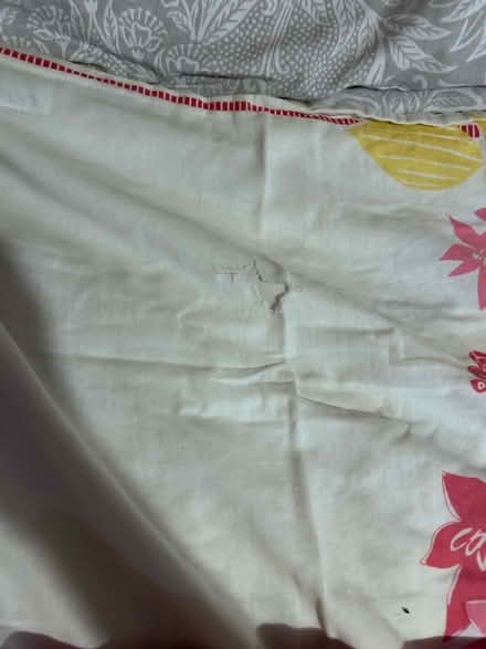 Photo of free Double duvet set with pillow (CO3) #2