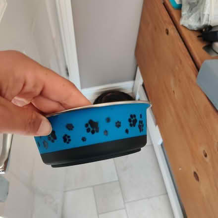 Photo of free Small dog bowl (B13 Billesley) #1