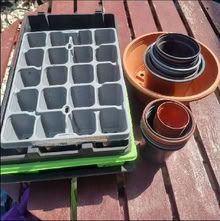 Photo of free Seed trays and small plant pots (Hailsham BN27) #1