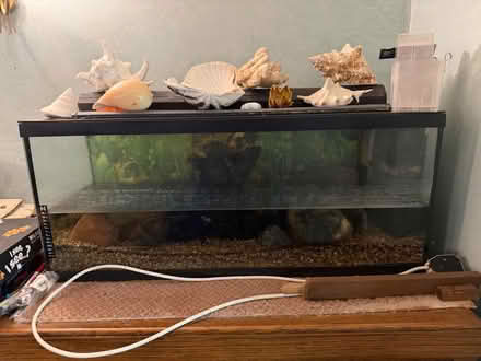 Photo of free 3foot fish tank (Cumnor OX2) #1