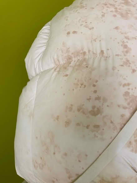 Photo of free Mattress topper (Gloucester GL2) #2