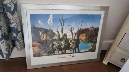 Photo of free Large Dali Picture (Morland CA10) #1