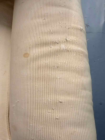 Photo of free Down Chair (Queens, NY) #4