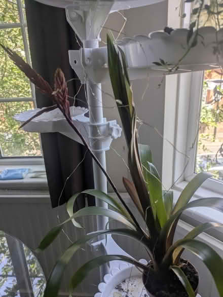 Photo of free Up to 4m tall plant holder (Ealing common (W5)) #2