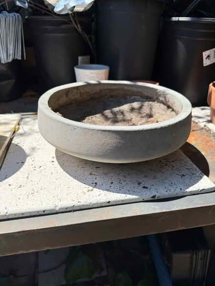 Photo of free Assorted small pots for plants (Mill Valley) #3