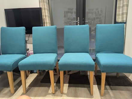 Photo of free 4 high back Next dining chairs (AL4) #1