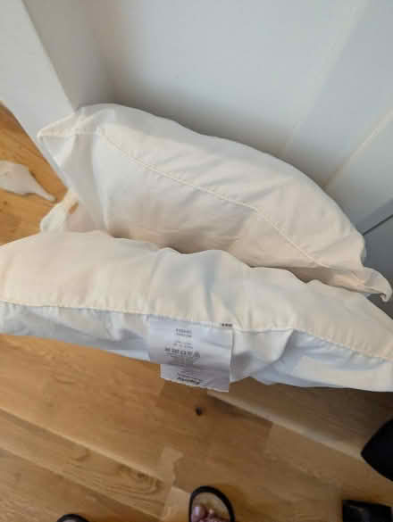 Photo of free 2 x clean pillows (West Norwood SE27) #1
