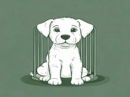 Photo of Dog / Puppy Cage (Westfield S20) #1