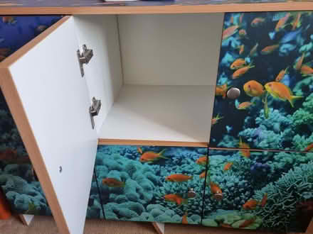 Photo of free Unusual Cupboard (Enfield EN1) #2