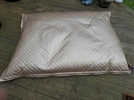 Photo of free Beanbag (Foxrock) #1