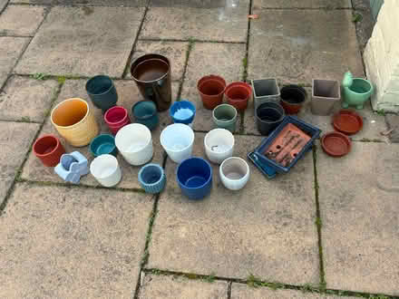 Photo of free plant pots (Monkseaton NE25) #1