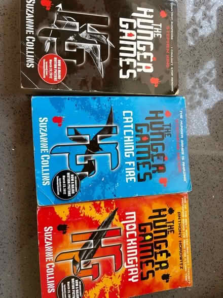 Photo of free Young adult (boys) books, Hunger games, Alex Rider etc (Northchurch HP4) #1