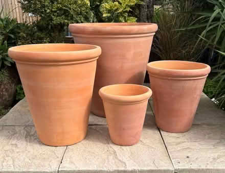 Photo of Plant pots (Hove BN3) #1