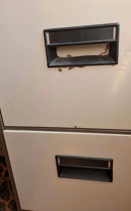 Photo of free Two drawer metal filling cabinet (Matlock DE4) #3