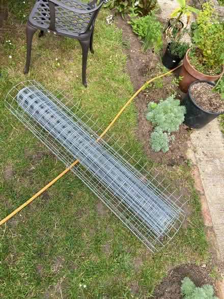 Photo of free 2m+ weld mesh (Frimley Green) #1