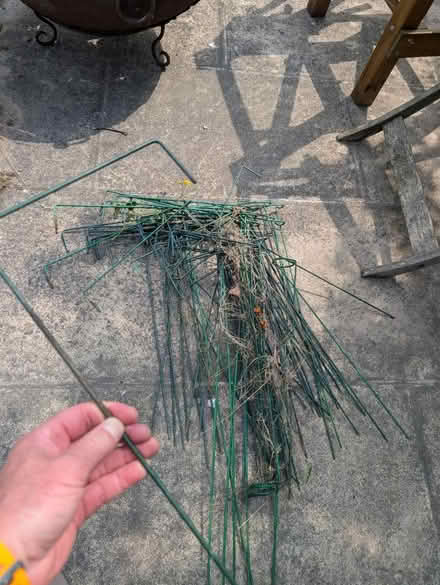 Photo of free Plant supports (HD8 Kirkburton) #1