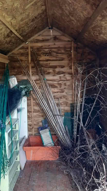Photo of free Garden shed (Tolworth KT5) #4