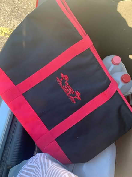 Photo of free Variety of tote bags (Park Forest IL) #1