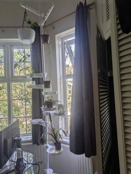 Photo of free Up to 4m tall plant holder (Ealing common (W5)) #3