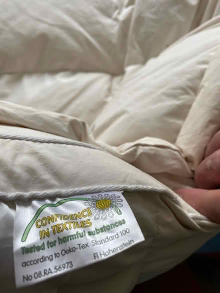Photo of free Mattress topper (Gloucester GL2) #4