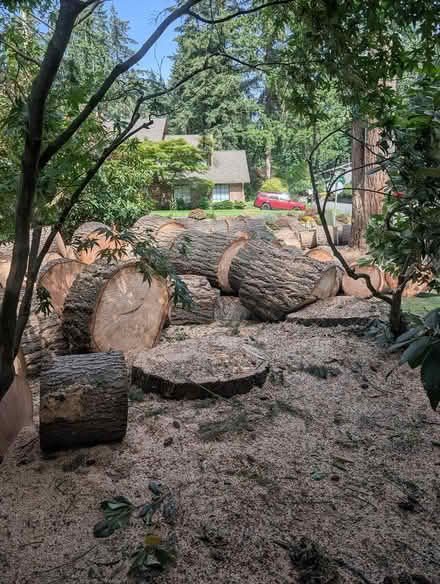 Photo of free Firewood (1055 Manet Dr Sunnyvale 94087) #1