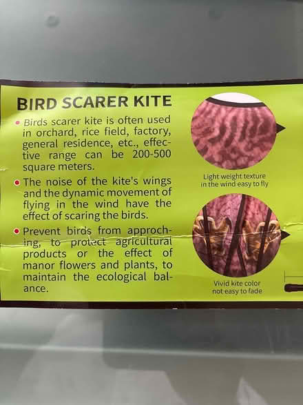 Photo of free Bird scarer kite (Wimbledon Common SW19) #1