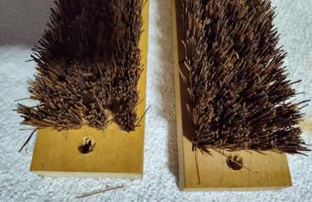 Photo of free 2 stiff bristle Scrub Brushes (Saugus) #3