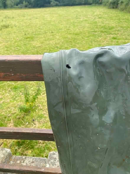 Photo of free Ocean make waders small size (Llanfaglan LL54) #3