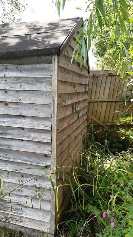 Photo of free Garden shed (Tolworth KT5) #3