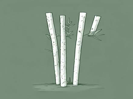 Photo of Canes for garden plants (Chorlton M16) #1