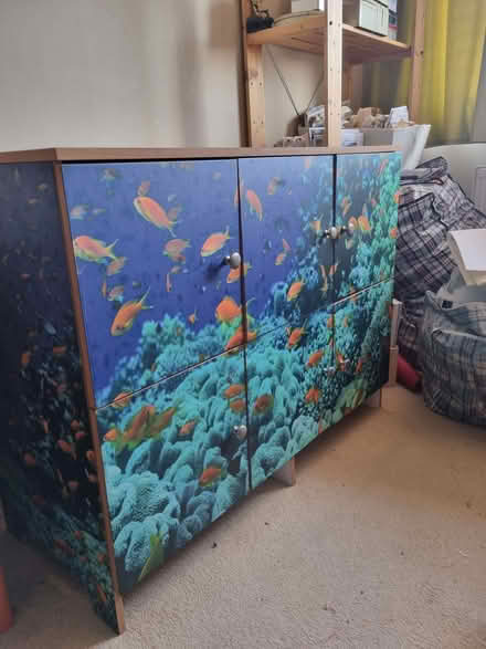Photo of free Unusual Cupboard (Enfield EN1) #1